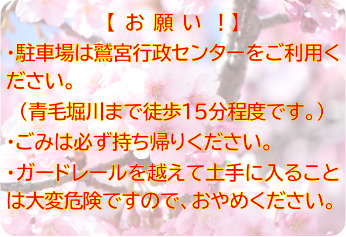 河津桜観賞に関する注意事項の写真