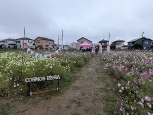 会場内の様子の写真1