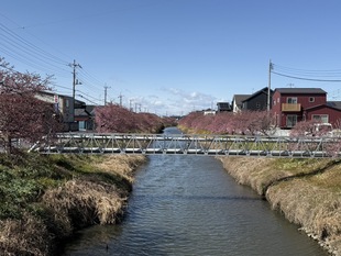 鷲宮浄水場付近の写真1