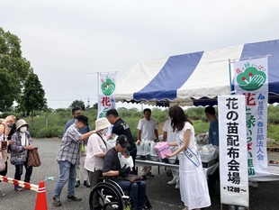 花の苗配布の様子の写真