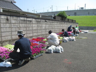 写真：「旧日光街道」花いっぱい作戦（春）1