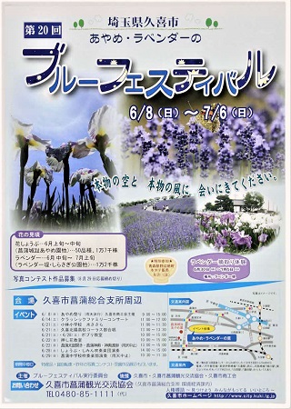 ブルーフェスティバルチラシ