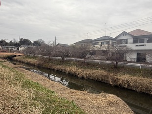 鷲宮神社付近の写真1