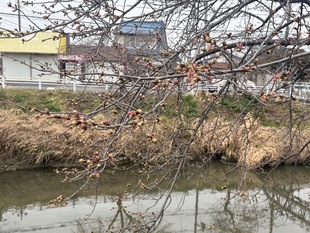 鷲宮浄水場付近の写真2