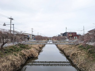 鷲宮浄水場付近の写真1