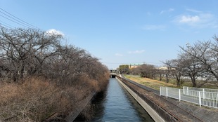 見沼代用水沿いの写真1