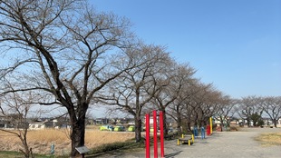 しらさぎ公園の写真1