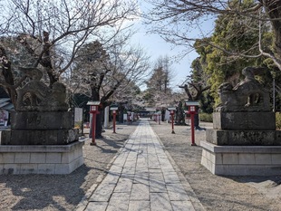 鷲宮神社の写真1