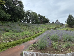 しらさぎ公園遠景の写真