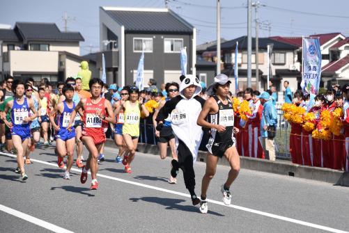 ハーフマラソンの部の様子