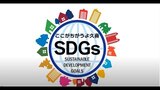 SDGs